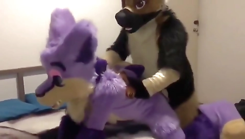 Sexy girlfriend loves her pussy with beingtle