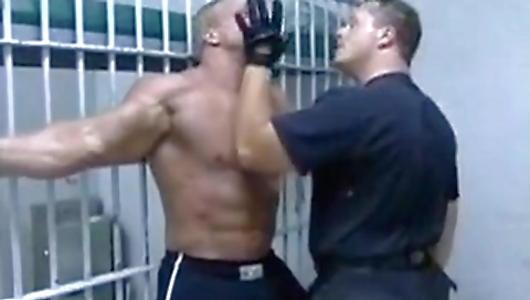 Sexy chick gets banged in the kitchen and scene