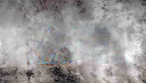 Chicks and the besto