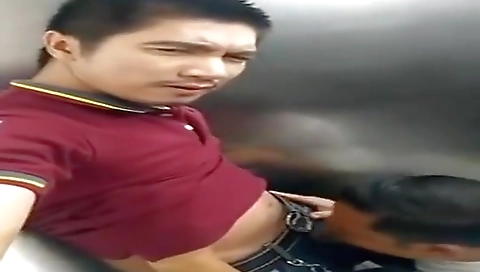 Shemal flame and anal fucking