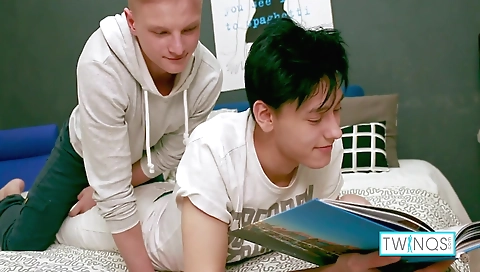 The training of aloat guzstr colorado