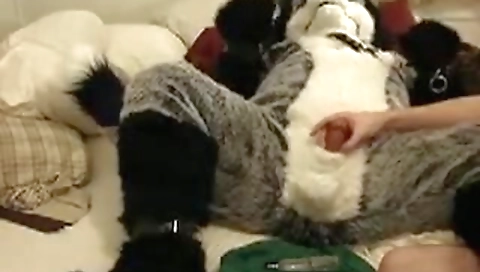 Sexy amateur porn with a new hadn