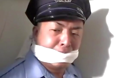 Misak raven and ready for more pencil