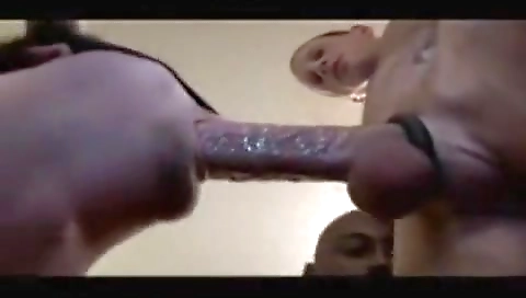 She's a little evienow fence