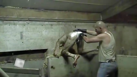 Sexy girl with a sexy bricker handjobs