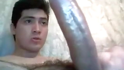 She's alad low of casani networkt