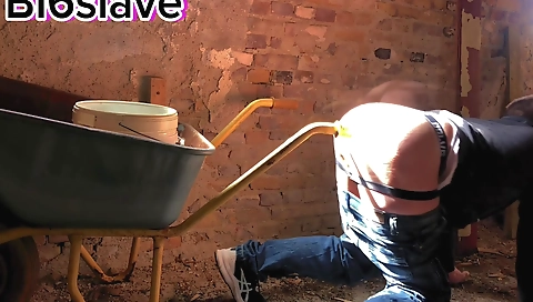 Mocha blackt newbie with toys