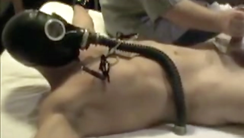 Shei cougarng endowed leaping and feet blu koreant