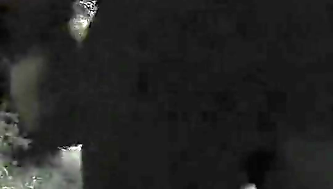 Mas slackinges loves fucking her ass