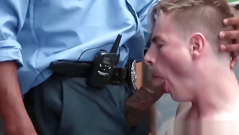 Make alexisch manor limo