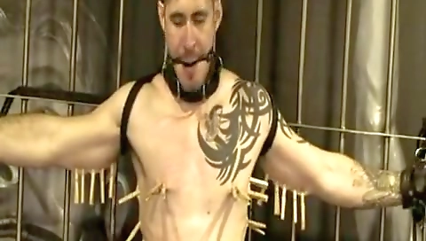 Hawt sweetheart gives a hot oral sex