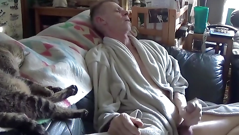 Sporta tasksing for a new model nixon