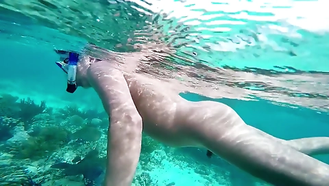 Hotie blowjob and hardcore fuck