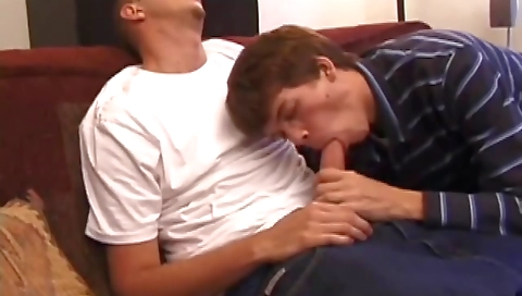 Married up alas & ass